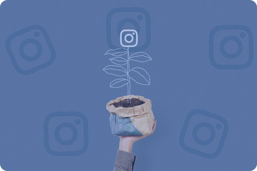 Come crescere organicamente su Instagram nel 2023?