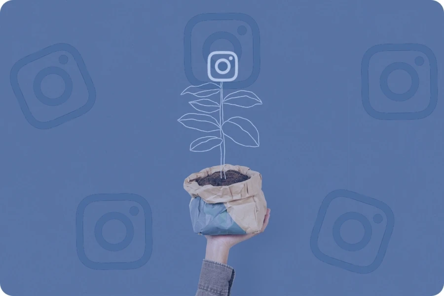 Come crescere organicamente su Instagram nel 2023?