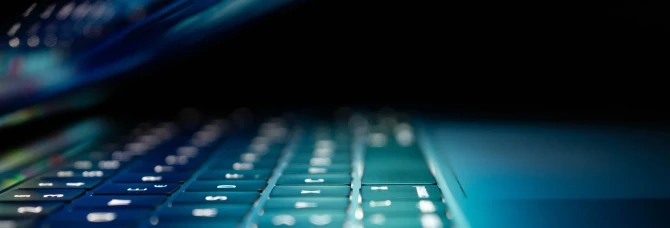 Breve storia triste dei siti web