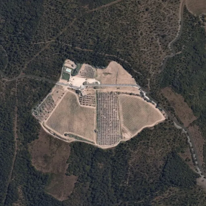 Podere Ferrale: rebranding delle etichette vinicole