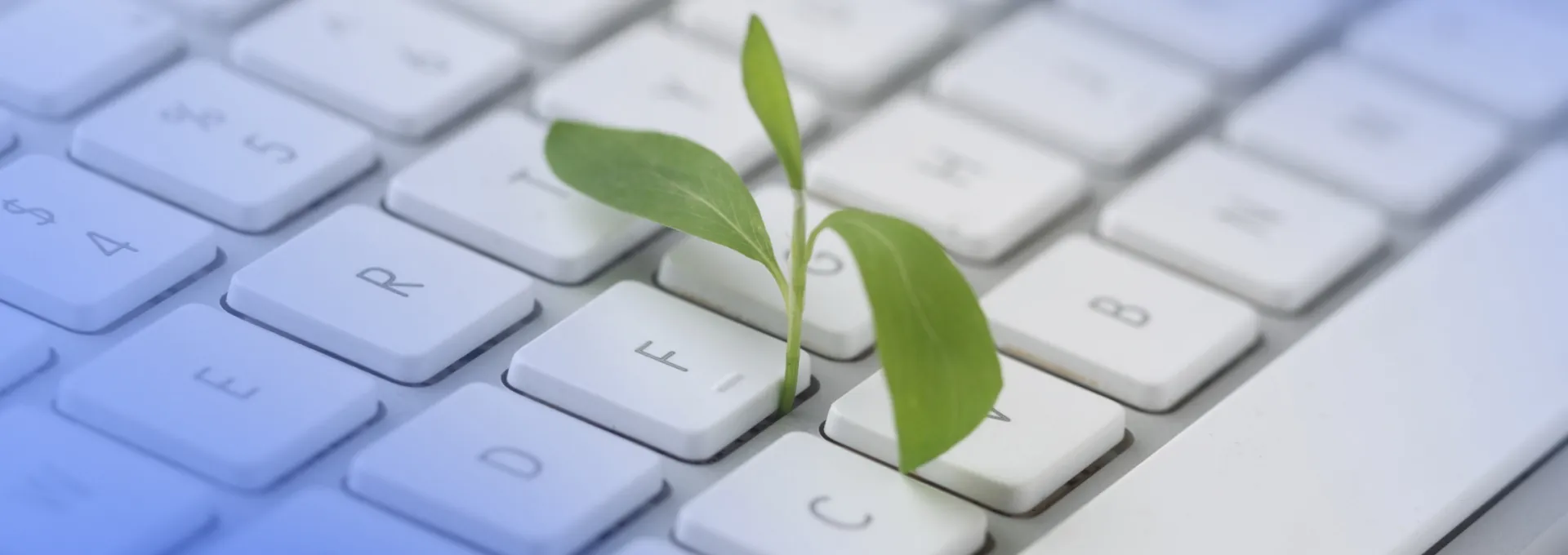Pianta verde che cresce tra i tasti di una tastiera, simbolo di sostenibilità digitale e green marketing